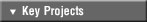 Key Projects